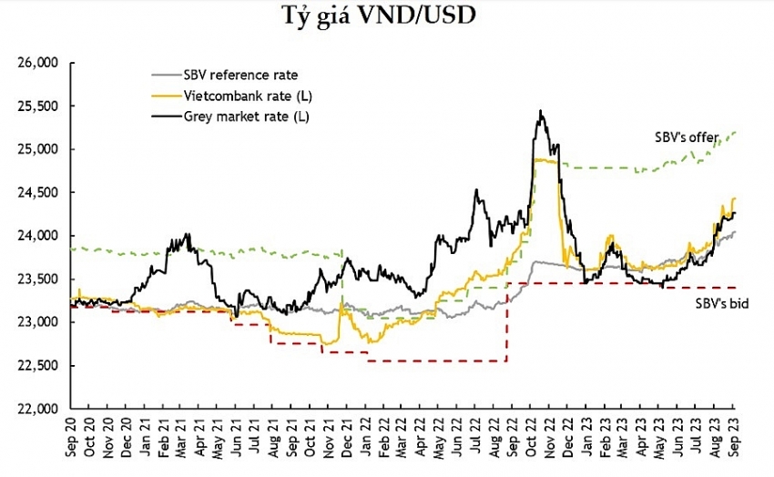 Tỷ giá USD bứt tốc, điều gì đang xảy ra? | DIỄN ĐÀN TÀI CHÍNH