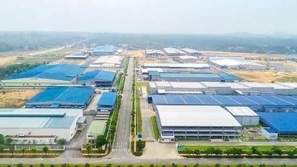 Quảng Ninh: Đấu giá nhà máy sản xuất thức ăn chăn nuôi tại KCN Cái Lân, giá khởi điểm hơn 393 tỷ đồng