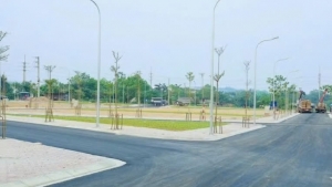 Hà Nội: Đấu giá quyền sử dụng 51 thửa đất tại khu Đầm Tiểu Trên, xã Phú Nghĩa