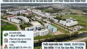 Đấu giá khoản nợ Công ty Phát triển Nhà Thịnh Phát tại Agribank được bảo đảm bằng 55 lô đất xã Vĩnh Lộc (TP.HCM)