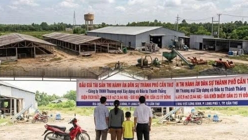 Đấu giá hơn 3,4 ha đất và hệ thống nhà xưởng của Công ty Xây dựng và Đầu tư Thành Thắng tại Cần Thơ