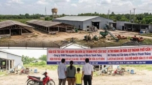 Đấu giá hơn 3,4 ha đất và hệ thống nhà xưởng của Công ty Xây dựng và Đầu tư Thành Thắng tại Cần Thơ