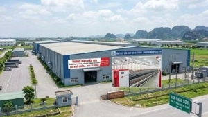 Đấu giá nhà máy sản xuất sợi OE Cotton tại KCN Châu Sơn (Ninh Bình)