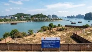 Quảng Ninh: Đấu giá khu đất tại khu đô thị dịch vụ Hùng Thắng với giá khởi điểm hơn 113 tỷ đồng