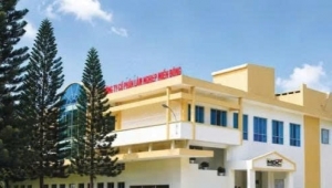 Vinafor muốn thoái vốn tại Lâm nghiệp Miền Đông