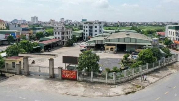 Đấu giá 5.488m² đất thương mại dịch vụ tại phường Hoa Lư (Ninh Bình)