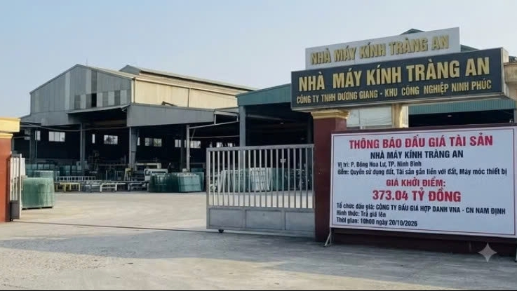 Ninh Bình đấu giá tài sản Nhà máy kính Tràng An với giá khởi điểm hơn 373 tỷ đồng