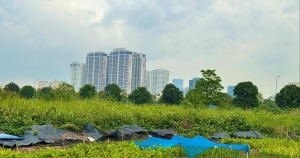 Bất động sản 2026: Loạt chính sách mới định hình chu kỳ phát triển mới