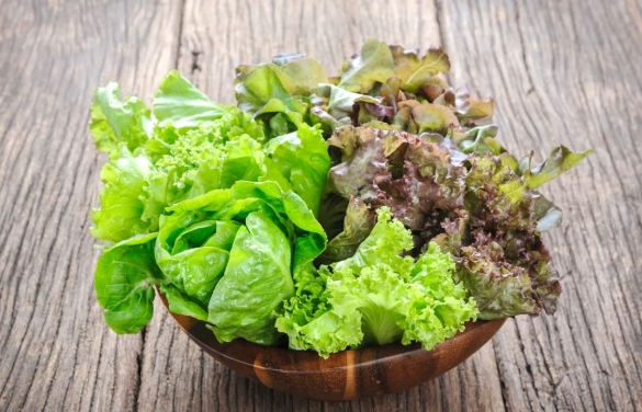 Rau xà lách: Lợi ích sức khỏe và những người cần thận trọng khi ăn