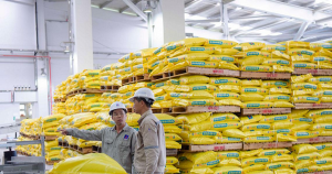 Doanh nghiệp phân bón kiến nghị gỡ áp lực chi phí trước xung đột Trung Đông