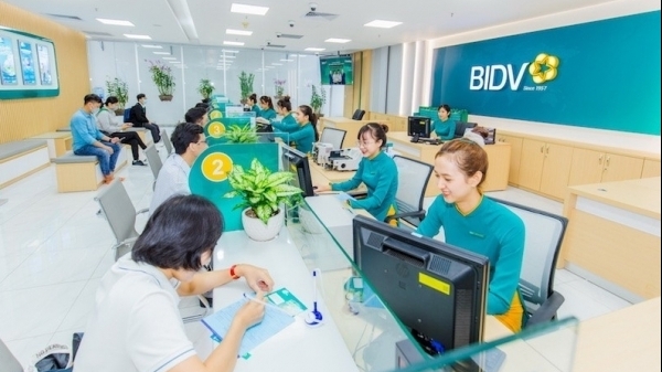 Những ngân hàng nào tham gia gói tín dụng 100 nghìn tỷ đồng cho nông, lâm nghiệp và thủy sản?