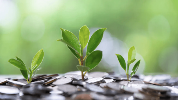 Loạt doanh nghiệp dồn dập chốt quyền chia cổ tức tuần tới, cao nhất 130%