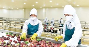 Doanh nghiệp rau quả tận dụng “cửa sáng”