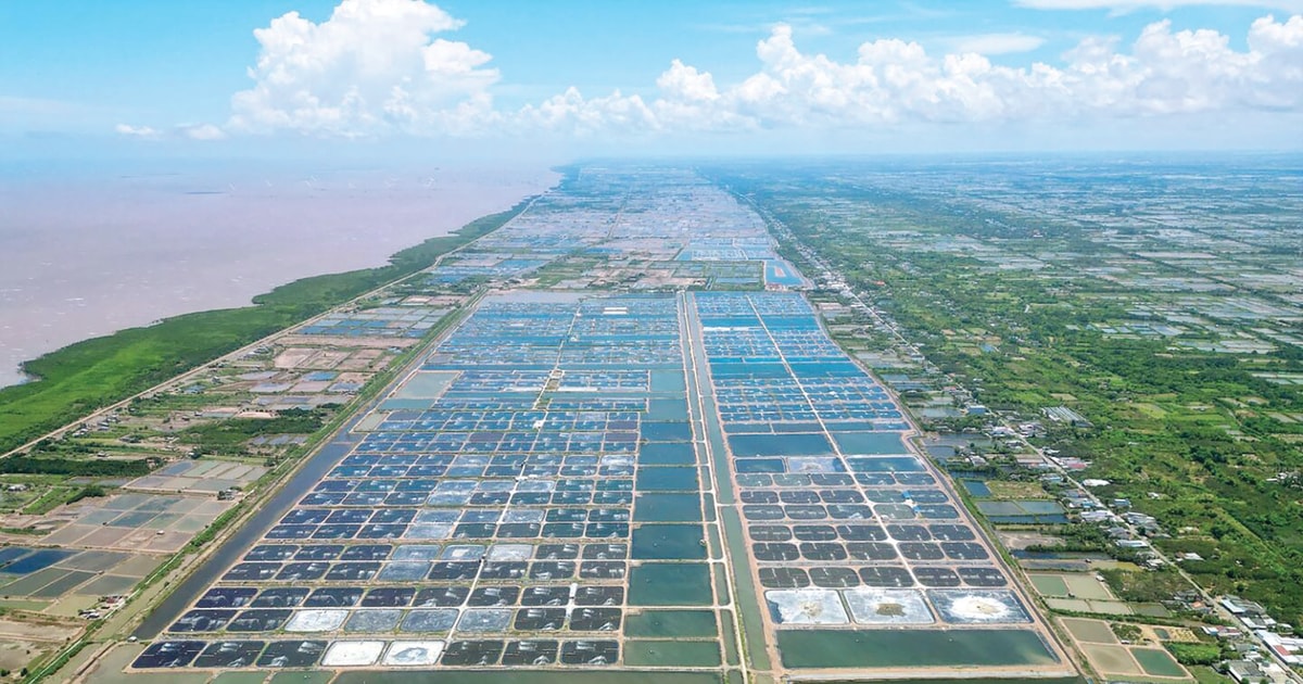 Lách qua cửa hẹp vào thị trường EU