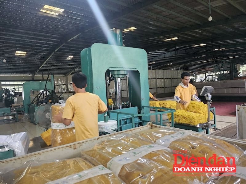 Doanh nghiệp cần chủ động, định vị lại thị trường để “vượt gió ngược” Doanh nghiệp cần chủ động, định vị lại thị trường để “vượt gió ngược”