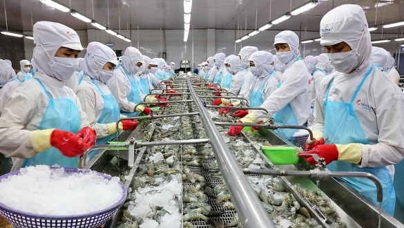 Giành thị phần trong nước: Bài toán khó cho doanh nghiệp xuất khẩu thực phẩm?