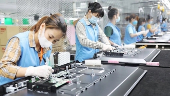 Để doanh nghiệp không e dè đào tạo nhân lực công nghệ cao