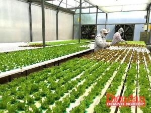 Đòn bẩy từ công nghệ nông nghiệp cho Đông Nam Á