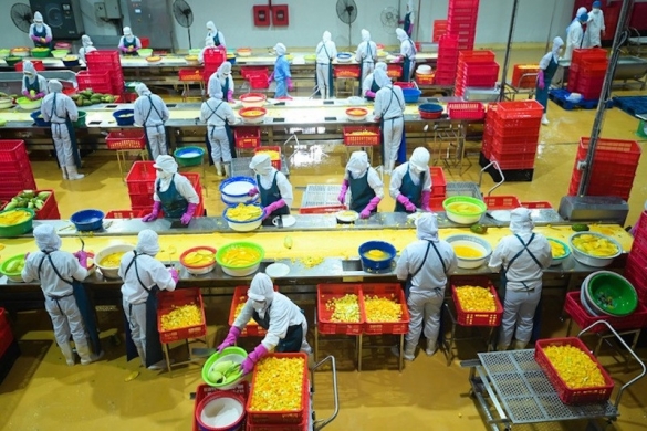 Thị trường Trung Quốc đổi "khẩu vị", doanh nghiệp trái cây tăng tốc nâng giá trị