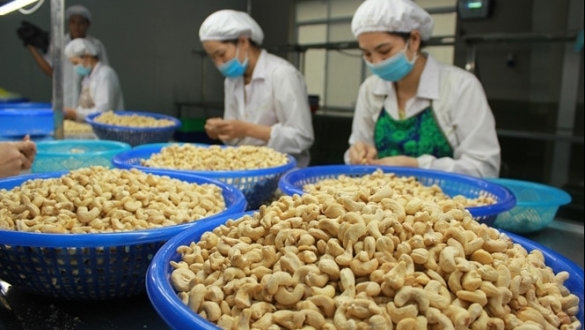 Nhiều dư địa mở rộng thị trường xuất khẩu