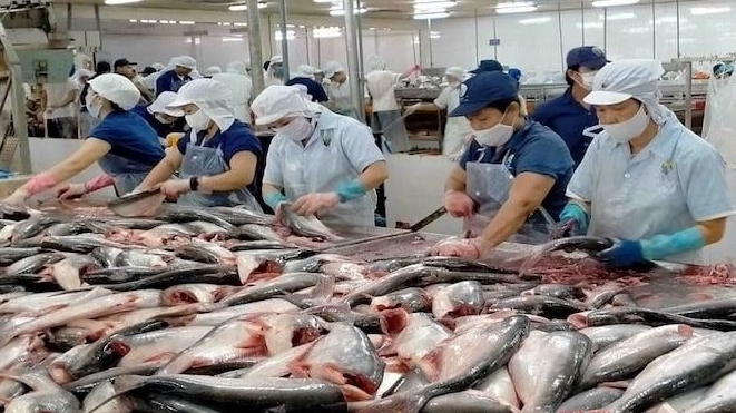 Thủy sản Việt Nam lao đao trước lệnh cấm nhập khẩu từ Mỹ
