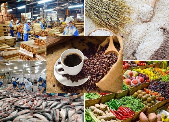 Singapore cảnh báo khai thấp giá trị hàng nhập khẩu, doanh nghiệp Việt cần lưu ý