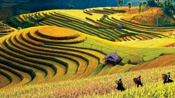 Xúc tiến quảng bá du lịch Lào Cai: Khi công nghệ số song hành cùng hợp tác