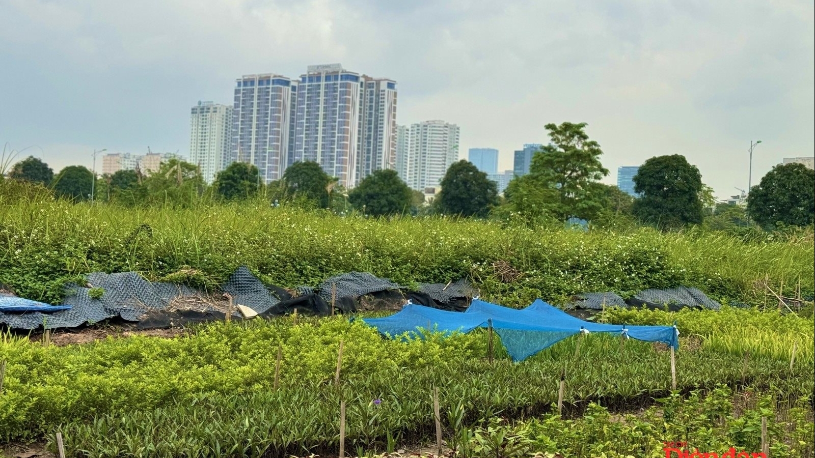 Đề xuất gắn mã định danh cho từng dự án bất động sản