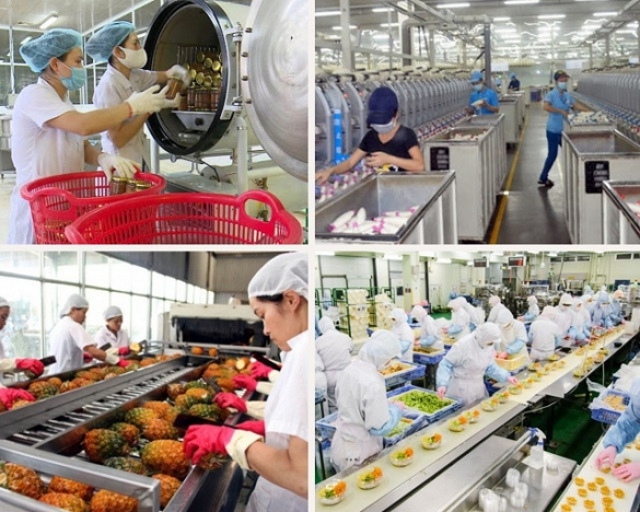 Thích ứng nhanh để tăng trưởng công nghiệp bền vững