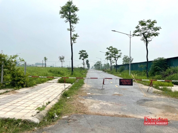 Nhóm quỹ Trái phiếu duy trì sinh lời ổn định, quỹ Cổ phiếu giảm tập trung