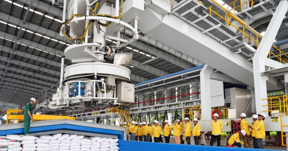 Đề xuất giảm thuế tác động ra sao đến cổ phiếu ngành phân bón?
