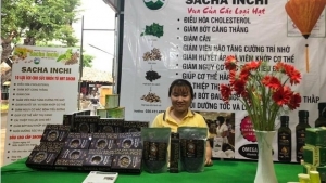 Nông nghiệp Việt tìm đường phát triển thực chất