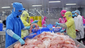 Thương mại Việt Nam và thành viên CPTPP tăng 20,6%