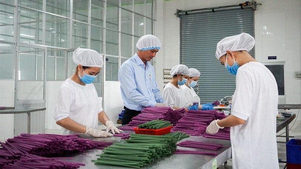 Thêm công cụ hỗ trợ doanh nghiệp tăng trưởng xanh