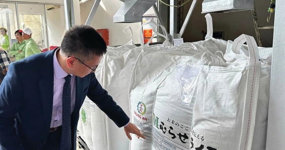 Gạo Việt nhập “làn đua xanh”