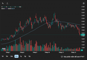 Cổ phiếu DIG suy giảm kéo theo làn sóng bán giải chấp cổ phần của lãnh đạo