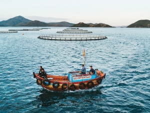 Xanh hóa chuỗi giá trị thủy sản