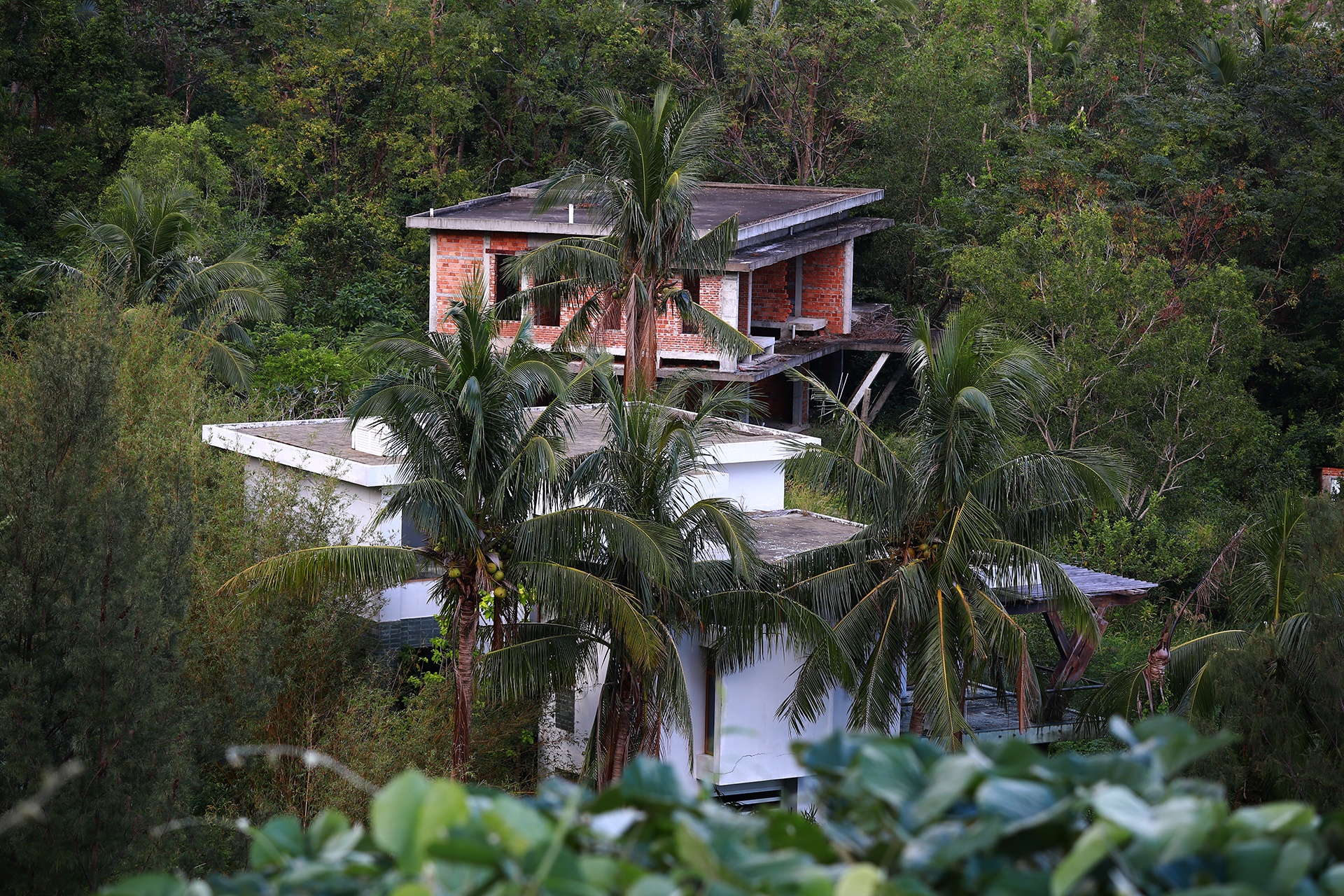 Dự án bỏ hoang ảnh 10 Du an bo hoang anh 10