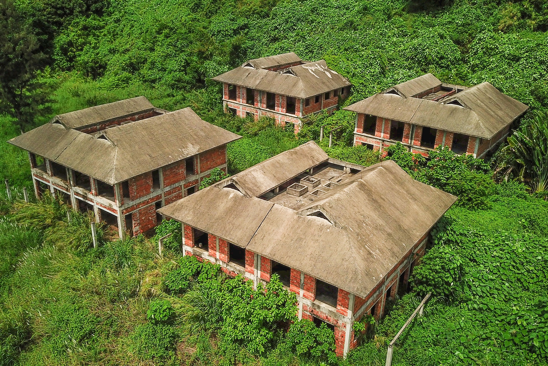 Dự án bỏ hoang ảnh 4 Du an bo hoang anh 4