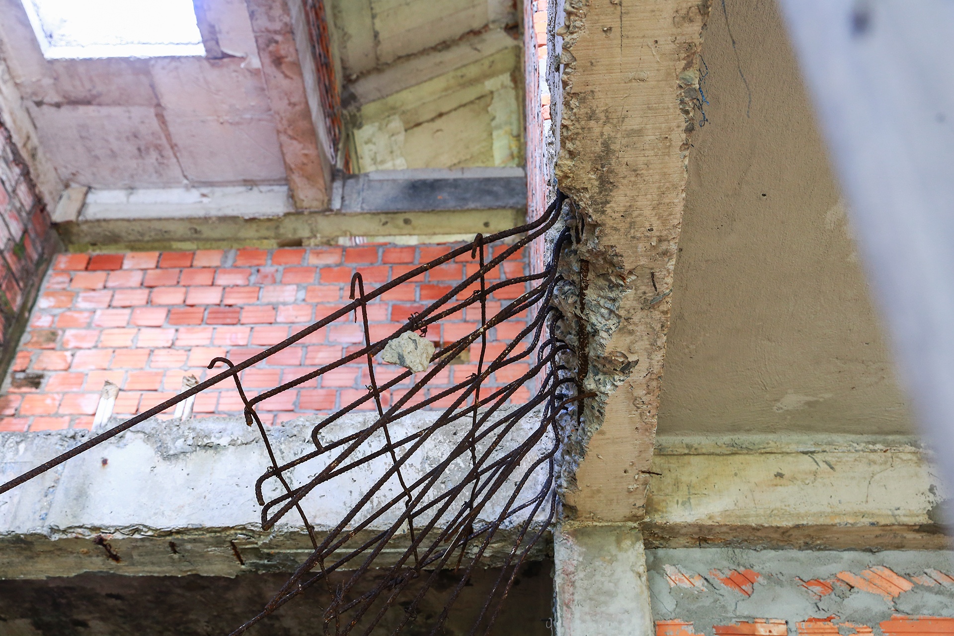 Dự án bỏ hoang ảnh 6 Du an bo hoang anh 6