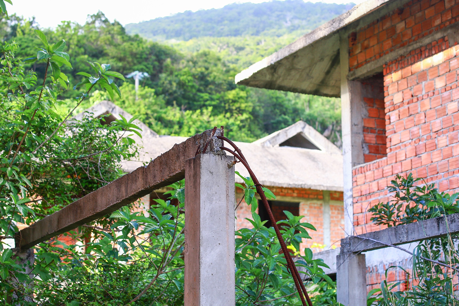 Dự án bỏ hoang ảnh 7 Du an bo hoang anh 7