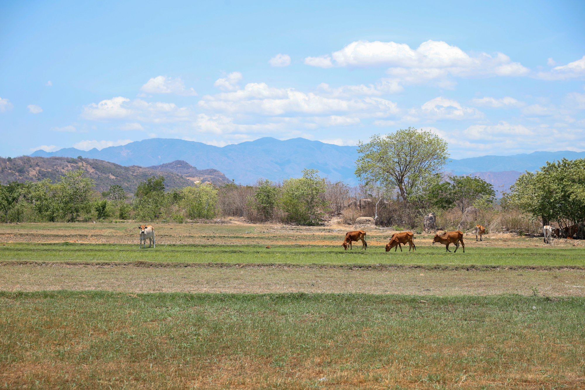 Thủ tướng khảo sát thực tế, thăm hỏi người dân tại tỉnh khô hạn nhất cả nước Thủ tướng khảo sát thực tế, thăm hỏi người dân tại tỉnh khô hạn nhất cả nước