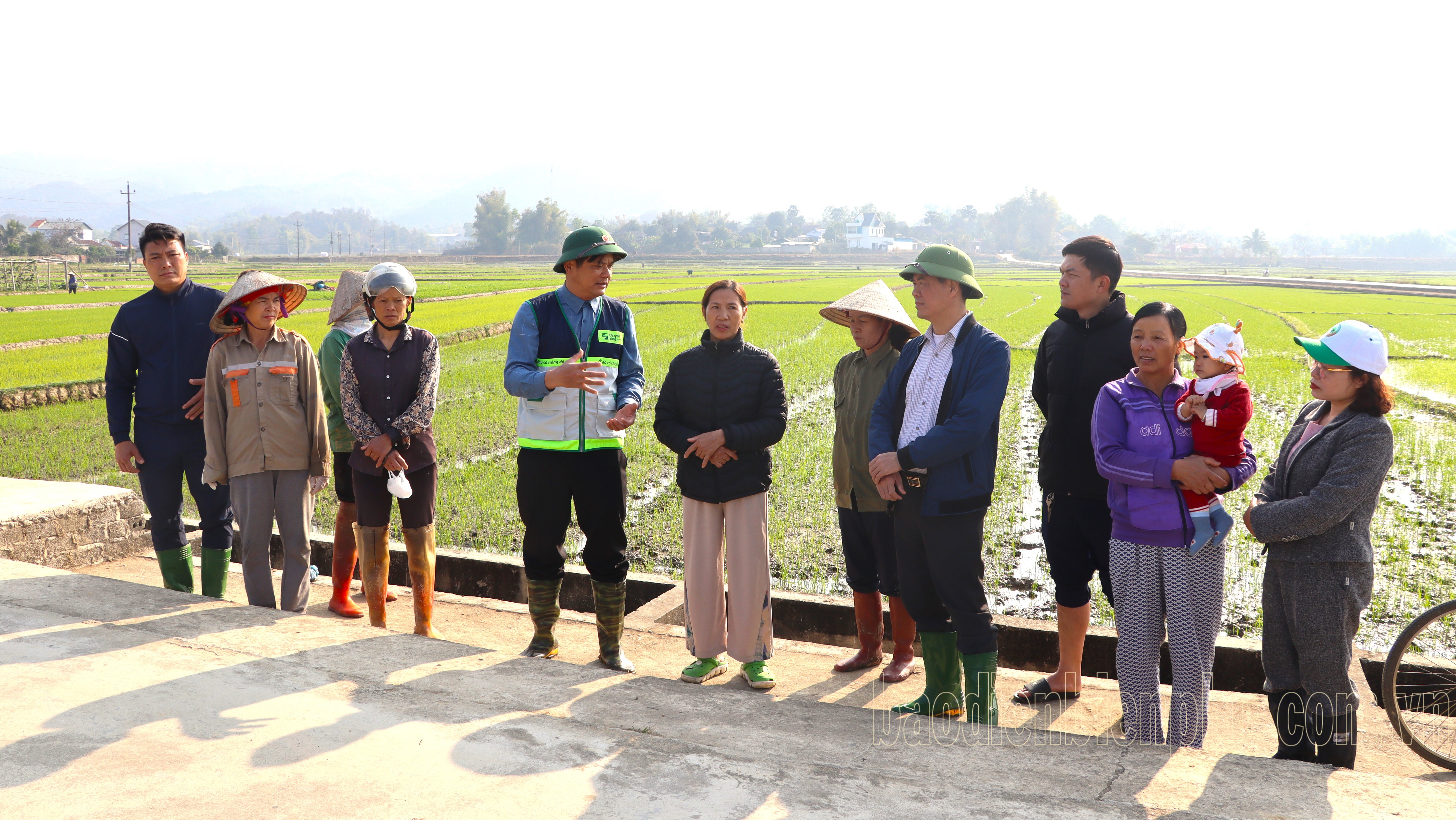 Điện Biên: Kiểm tra mô hình canh tác lúa thông minh, giảm phát thải nhà kính Điện Biên: Kiểm tra mô hình canh tác lúa thông minh, giảm phát thải nhà kính