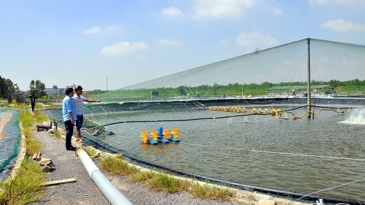 Đồng Tháp: Đấu giá 41 nền đất ở và 186.242 m2 diện tích nuôi trồng thủy sản tại xã Trường Xuân