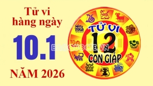Tử vi hôm nay, xem tử vi 12 con giáp hôm nay ngày 10/1/2026: Tuổi Dần công việc tăng lương