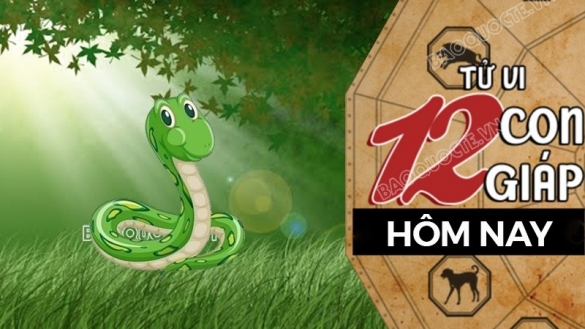 Tử vi hôm nay, xem tử vi 12 con giáp hôm nay ngày 14/1/2026: Tuổi Tỵ khoản thu tăng tiến