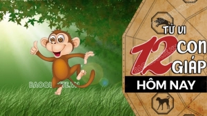 Tử vi hôm nay, xem tử vi 12 con giáp hôm nay ngày 24/2/2026: Tuổi Thân tình cảm nhận tin vui