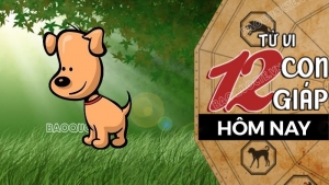 Tử vi hôm nay, xem tử vi 12 con giáp hôm nay ngày 25/2/2026: Tuổi Tuất tiền bạc gặp vận xui