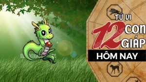 Tử vi hôm nay, xem tử vi 12 con giáp hôm nay ngày 26/2/2026: Tuổi Thìn quan điểm khác biệt