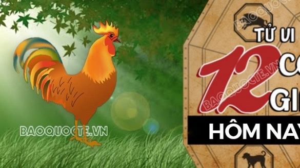 Tử vi hôm nay, xem tử vi 12 con giáp hôm nay ngày 11/3/2026: Tuổi Dậu tài chính biến động